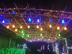 -广东花都香草世界旅游度假区