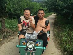 -小慧大桃观光采摘园