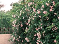 -白鹭湾湿地公园