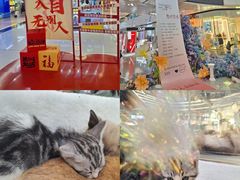 -万达广场(北京槐房店)