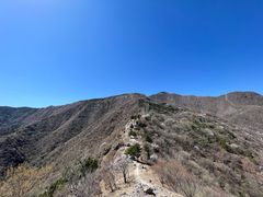 -北京鹫峰国家森林公园