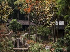 -杭州植物园