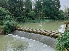 -桤木河湿地公园