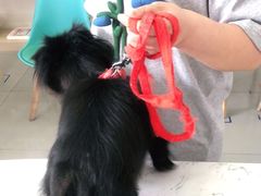 -宠颐生动物医院·小陆分院