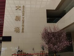 -深圳大剧院