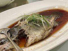 -张生记(丁香国际店)