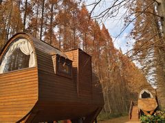 -黄海国家森林公园