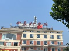 -山东八大碗山东老字号