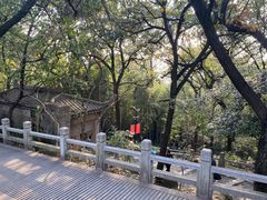 -灵岩山风景区