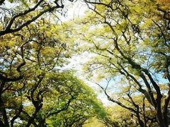 -毛里求斯小四川餐厅总店