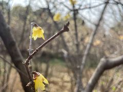 -洨河生态公园