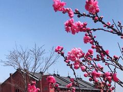 -横滨红砖仓库1号馆