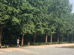 -玲珑塔公园