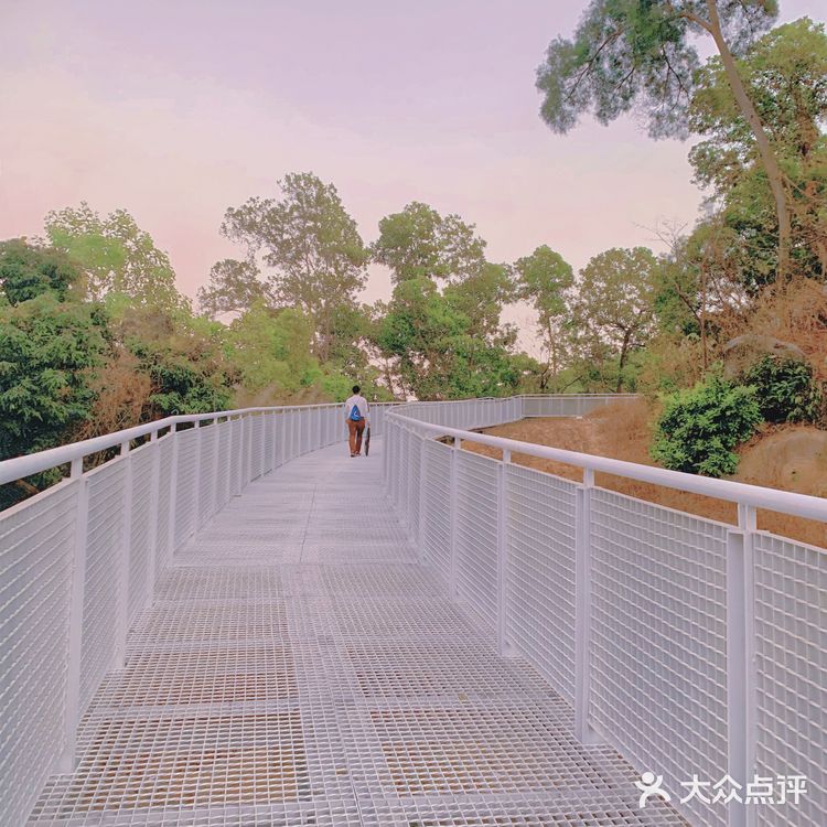 深圳网红桥～白桥