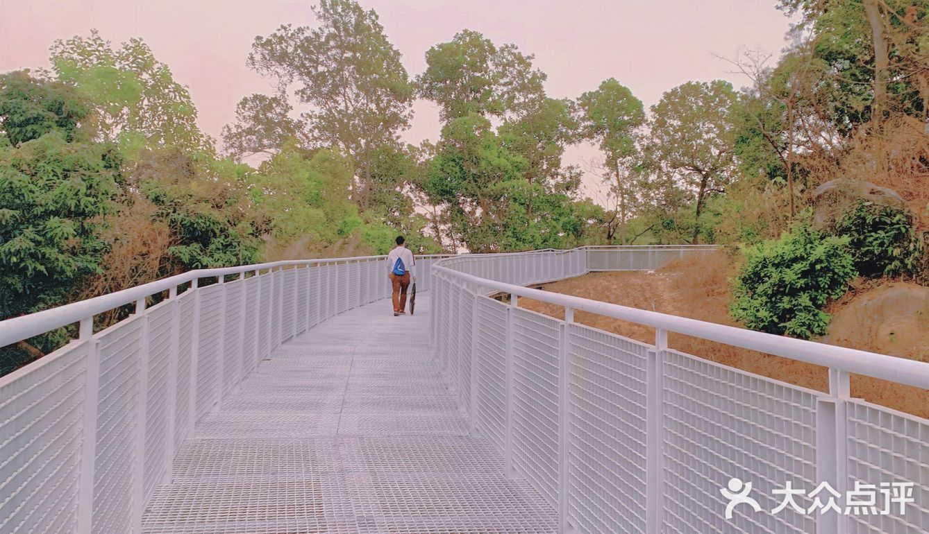 深圳网红桥～白桥