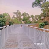 深圳网红桥～白桥