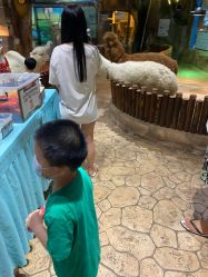 -宝燕乐园(闵行旗舰店)