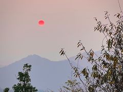 -桃花岭景区