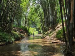 -红山村
