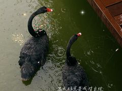 -南大港湿地风景区