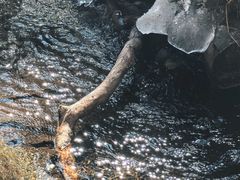 -白马王朗自然风景区