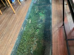 -几荷·恰似故人来(秀水广场店)