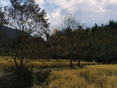 -塔川景区