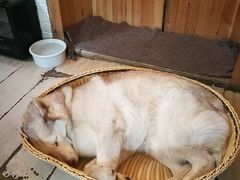 -小时光咖啡馆(北锣鼓巷店)