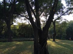 -晓港公园