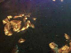 -宝丽金大酒店·洗浴中心