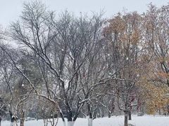 -元大都城垣遗址公园