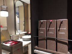 -新加坡瑞士史丹福酒店