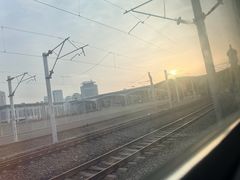 -崔记扒鸡老店(解放北路店)