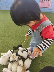 -萌宠亲子动物乐园(槐房万达店)