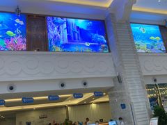 -海豚堡温泉水乐园