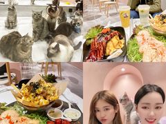 -猫儿山۰猫主题餐厅