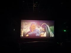 -博纳国际影城IMAX(中央大道店)