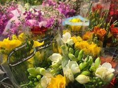 -循礼门鲜花花市(武汉循礼门店)