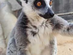 -杭州野生动物世界