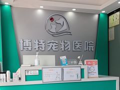 -博特宠物医院24h犬猫全科.骨科·异宠