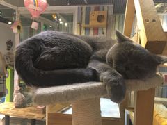 -小时光咖啡馆(开森度假森林店)