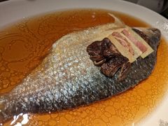招牌中式清蒸鲥鱼-苏浙汇(古北店)