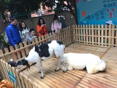 景观位-佟小曼手工茶饼坊(鼓浪屿1店)