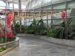 -郑州植物园