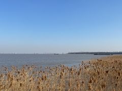 -上海吴淞炮台湾国家湿地公园