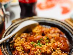 麦仁焖猪蹄-阿五黄河大鲤鱼(英协路店)