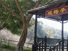 -广东天露山旅游度假区
