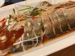 -花舍·新派粤菜·西餐·下午茶(亚运村·鸟巢店)