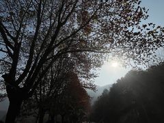 -秦岭终南山世界地质公园翠华山景区