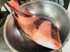 -第一家鲜鱼汤清真老饭店(回新路店)